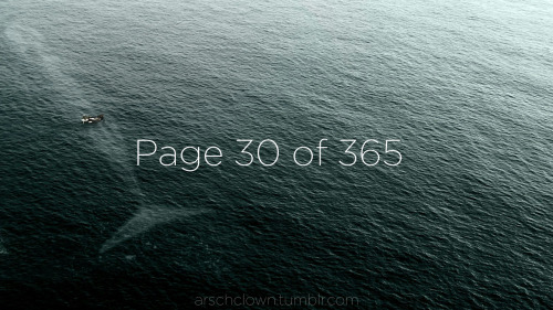 arschclown:30th January