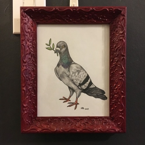 Pablo was framed: it’s a regular coodunnit! Ok, but seriously, this pigeon portrait was origin