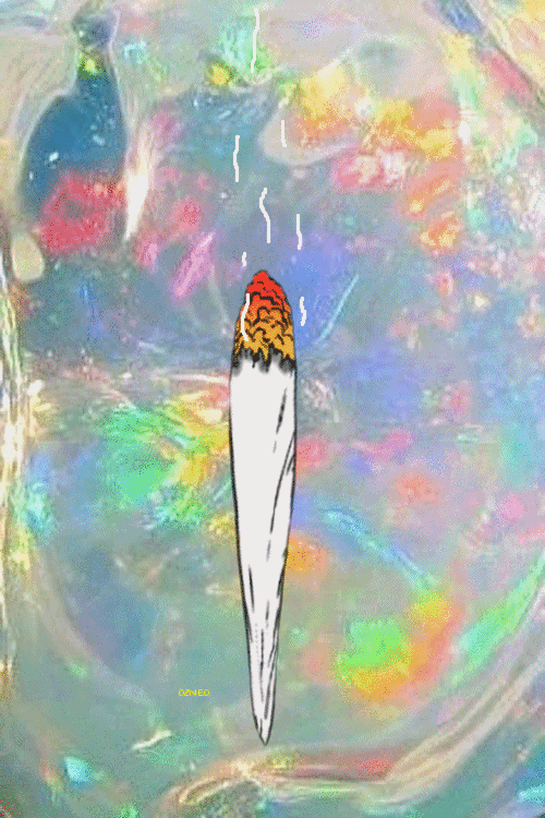 ☾ into the moon garden