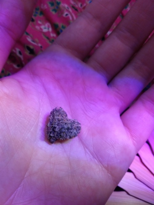 heart shaped nug