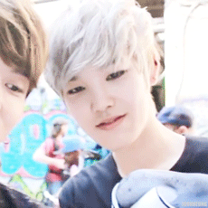 bbbap:  Zelo >_<? 
