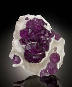 mineralists:  Fluorites within a massive