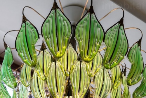 “Living” Chandelier That Naturally Purifies the Air Contains Real AlgaeDesign engineer a