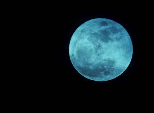 amatesura:Have you ever seen blood in the moonlight, Will? It appears quite black.