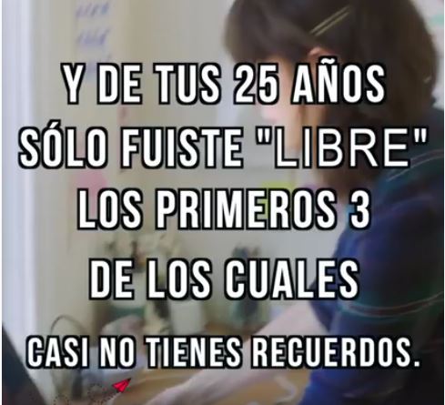 eslighthouxe: 8 horas son las que se recomiendan descansar (una cuestión biológica y de salud)12 horas trabajando y estudiandosolo 4 horas al día para disfrutar de tu vida, de tus amigos, de tu pareja,del mundo, de todo ¿en qué momento vivimos? es