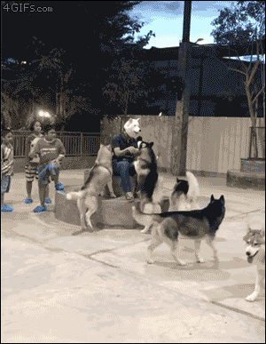 tastefullyoffensive:  [video]