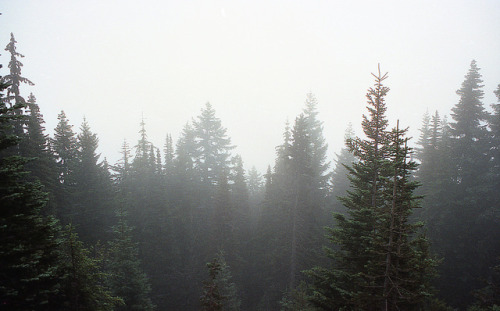 90377:RainierSeattleSep91_049 by charles_c_thomas on Flickr.