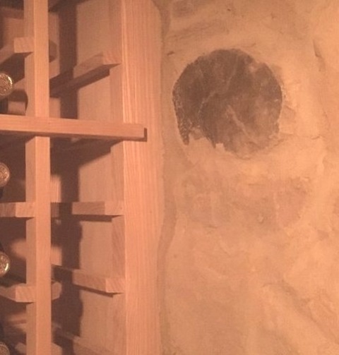 Traditional Wine Cellar - Wine Cellar