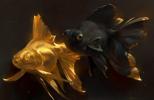 life-lesswords-carryon:  Golden Fishes by Mr–Jack  
