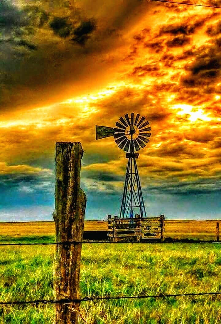 Redneck Paradise