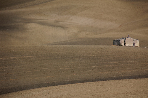 Italy - Lucanian landscape near Irsina by dario lorenzetti on Flickr.