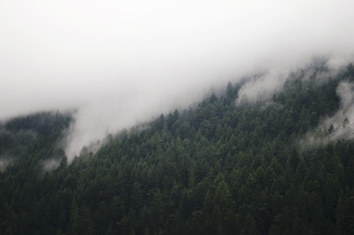 whitneyjustesen: Ferry to Nanaimo, August 2014 I still can’t believe British Columbia is a rea