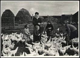 About Shostakovich, This One Is My Favourite Picture Of His