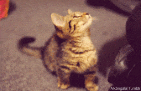Just look at him awww