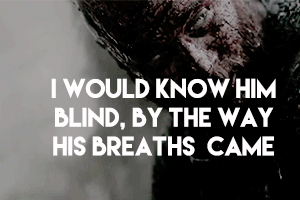 hann-solos:I could recognize him by touch alone, by smell; I would know him blind, by the way his br