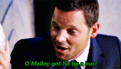  Grey’s Anatomy in a nutshell 
