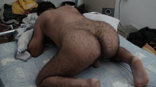 bullpupuk:  furry rump