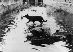  Stalker - Andrei Tarkovsky 