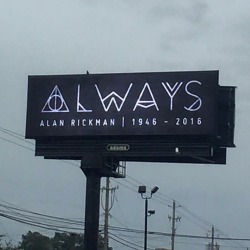 thelovelycaptainjaneway:Billboard in my hometown of Florence, SC honoring Alan Rickman