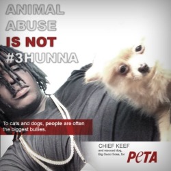 trill-realigion:  Community Service Sosa aka Chief PETA 