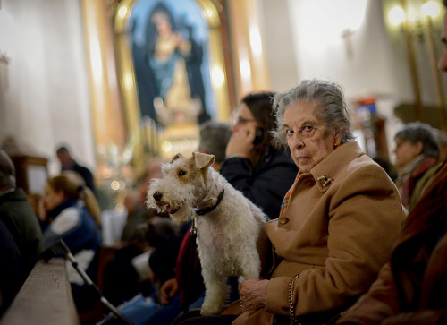 Things we love today: this woman and her dog, in Madrid at a blessing for animals.
Don’t miss her matching pin.
More images: http://usat.ly/UTtWsY
(Photo by Pedro Armestre, AFP/Getty Images)