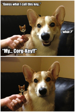 corgnelius:  Aw come on, Corgnelius! That was gold! 