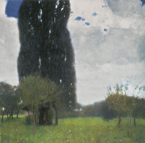 arsvitaest:Gustav Klimt, The Large Poplar I, 1900, oil on canvas