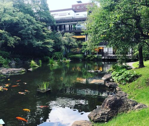 ＼おにわさん更新情報／ ‪[ 東京都・原宿 ] 東郷神社神池 Togo Shrine Garden, Harajuku, Tokyo の写真・記事を更新しました。 ーー原宿駅からすぐ近く。東郷平八郎を