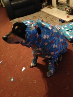 swasdicka:  i hope it’s an xbox 360  