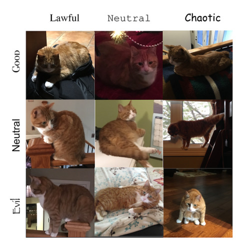 thetruewizardkitty: thetruewizardkitty: Alignment chart ft. all the different ways my cat &ldqu