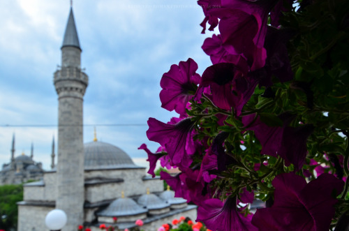 Istanbul, Turkey #2photo by Kirienko Roman (romanophoto.tumblr.com)