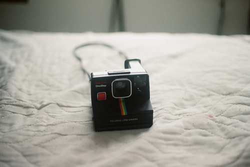 felisque:  untitled by emily cain on Flickr. 