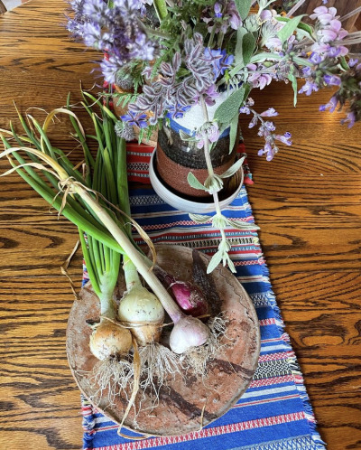 matchagirl:salmon creek farm, albion, california 🥕https://www.instagram.com/p/CPWtLDPF2Ag/?utm_medium=copy_link