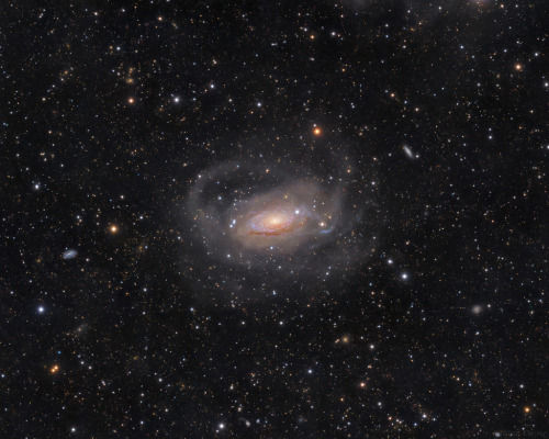 Curly Spiral Galaxy M63Image Credit & Copyright: Fabian Neyer, Rainer Spani Collaboration Credit