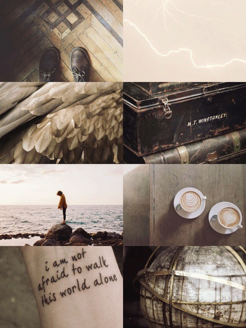 Ilvermorny Houses Aesthetics: