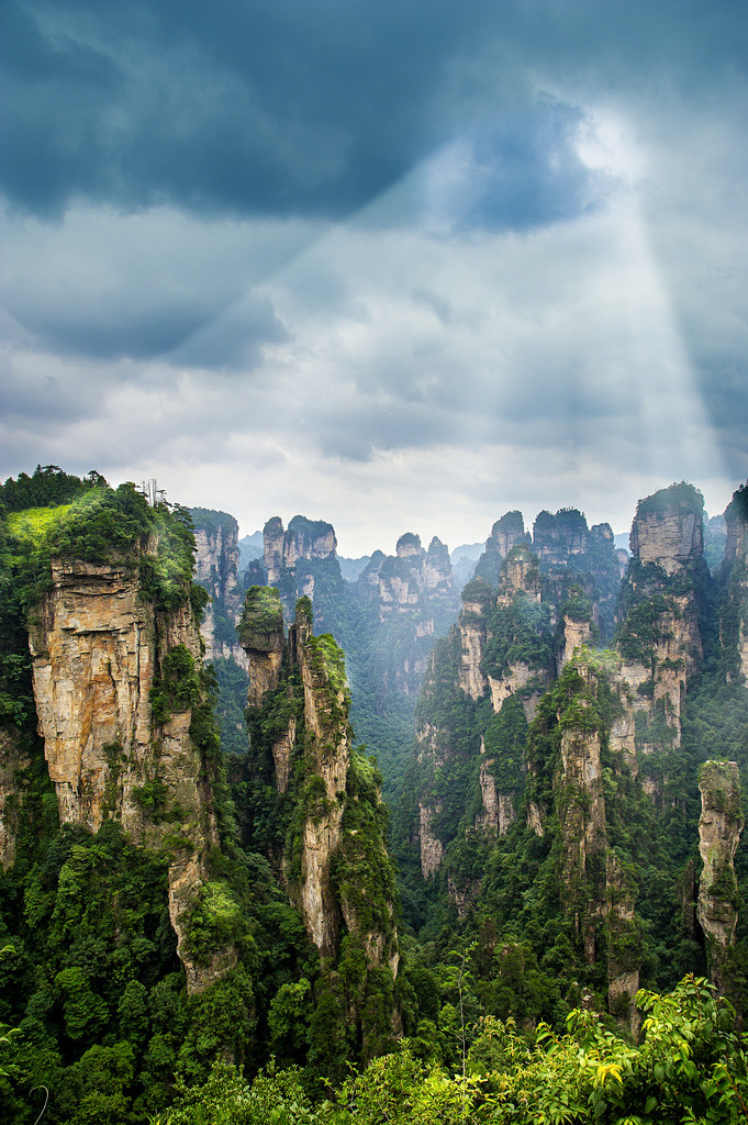 brutalgeneration:  _DSC0800_r1 (by tu_geo) 