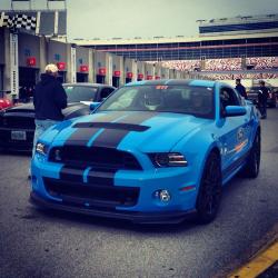 fuckyeahfordmustangs:  musclecarsfans:  Follow For More American Muscle Cars  Just LOOK at that happy face 😀