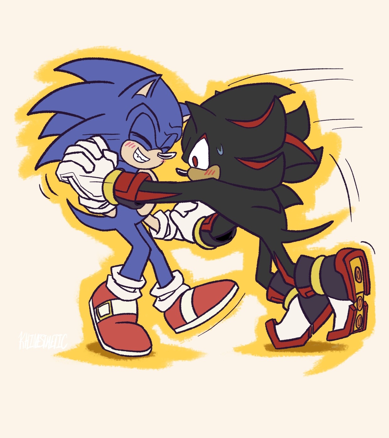 Sonadow/Sonic x Shadow, Shipping Book (No More Authors!)