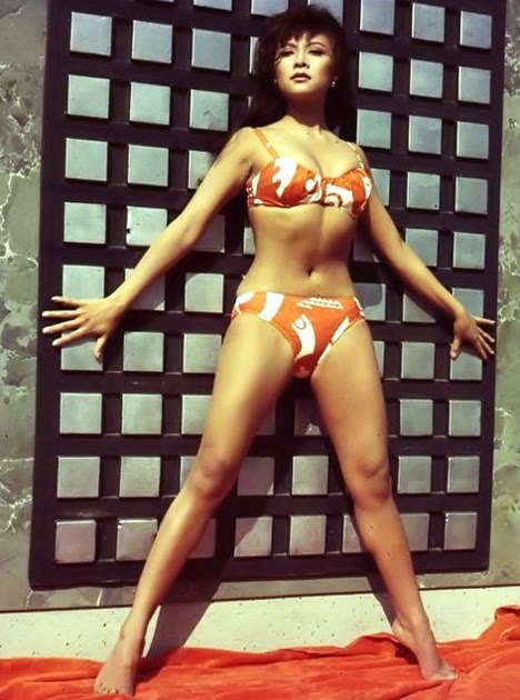 Porn Pics Irene Tsu 1966