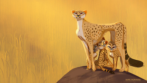 mariethorhauge: Little cheetah family ♥