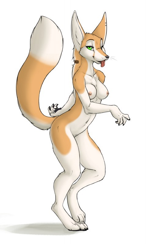 ponyyiffblog:  Nicest pics i found on tumblr :3  If you feel like doing me a favor