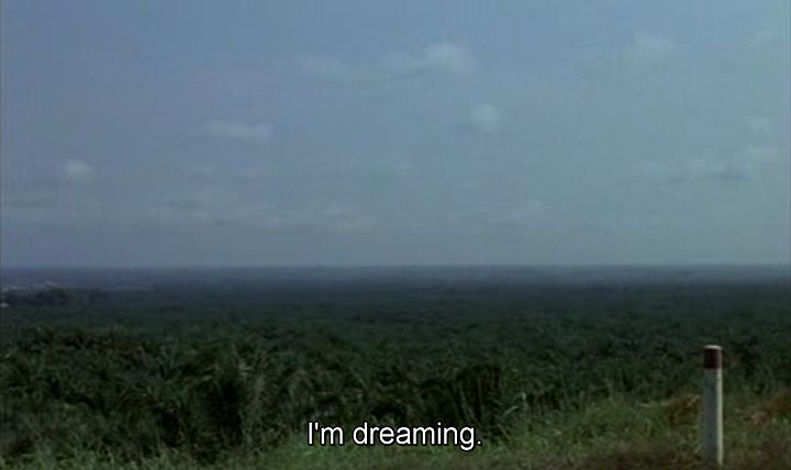 qpulm:Chocolat (Claire Denis, 1988)