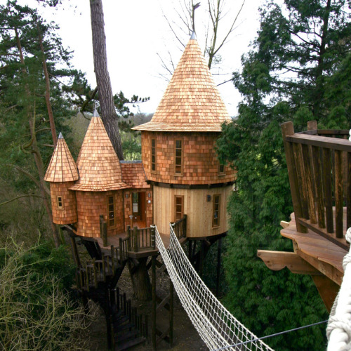 archiemcphee:  This awesome arboreal dwelling is the Living the High Life Tree House created by Blue Forest, a British tree house design and construction firm. It’s a luxury family-sized complex featuring two separate tree houses, one for kids and one