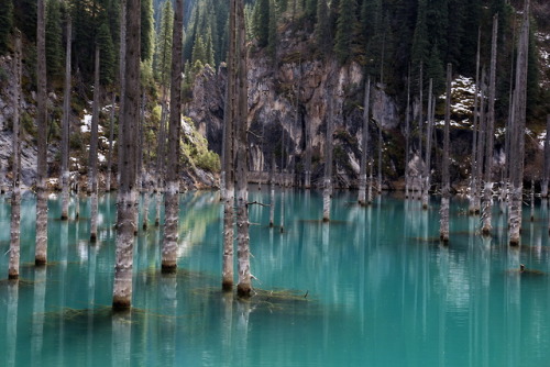 Kaindy Lake, Kazakhstan by Sergio