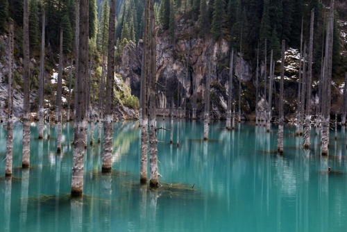 expressions-of-nature:Kaindy Lake, Kazakhstan by Sergio