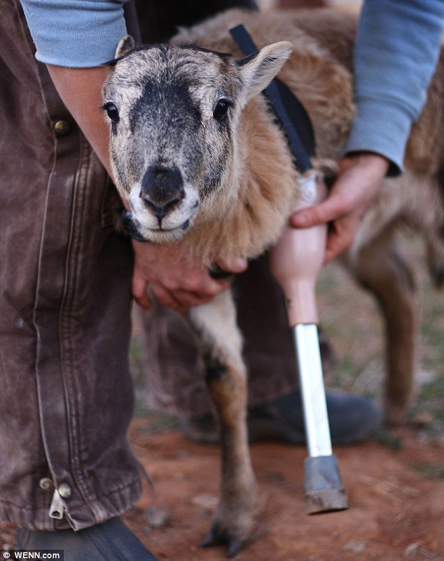 fuckyeahveganlife:  i am an individual, not a thing. i am worth fixing if i am broken.