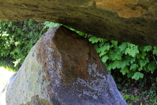 Carreg Coetan Arthur Burial Chamber, Pembrokeshire, 5.5.18.These stones are all that remain of a cha