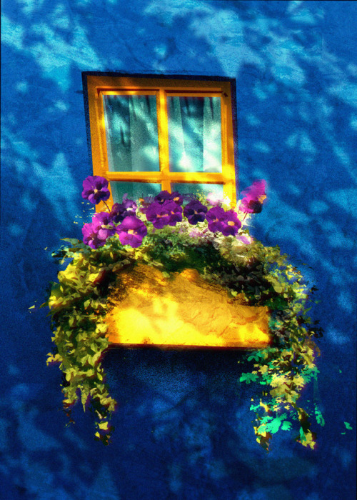 Doodling some flowers and a window from a few nights ago, mocked up different times of day/light sit