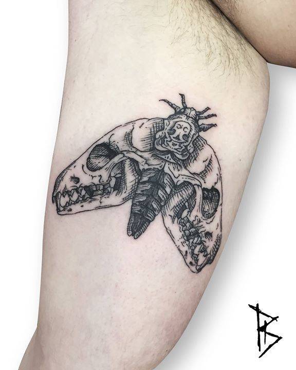 Moth Tattoo Images  Designs
