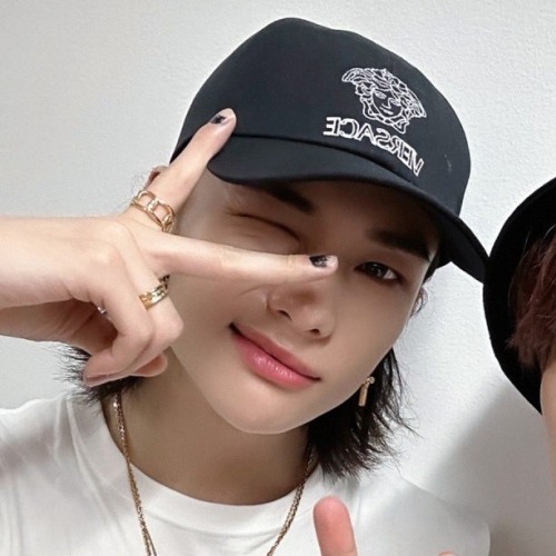 Stray Kids Matching Icons/metadinhas.
